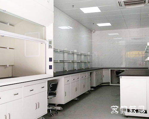 食品檢測中心實(shí)驗(yàn)臺通風(fēng)柜和地板